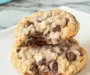 Thick and Chewy Chocolate Chip Cookies That Steal the Show
