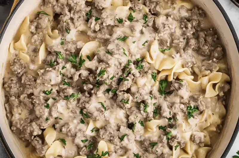 Hamburger Stroganoff