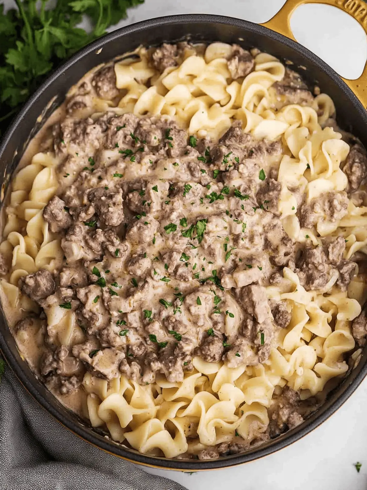 Hamburger Stroganoff