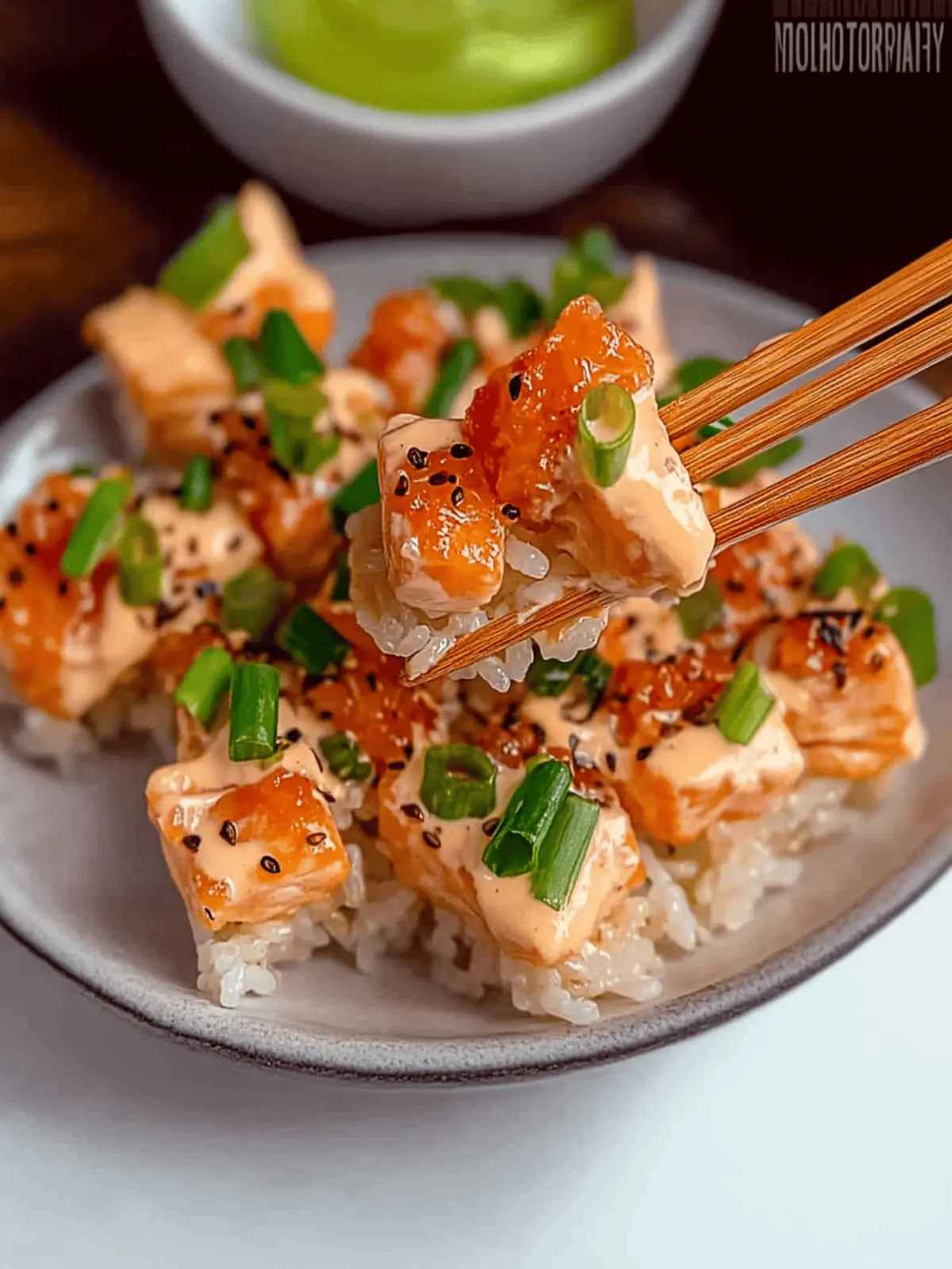 Salmon Crispy Rice
