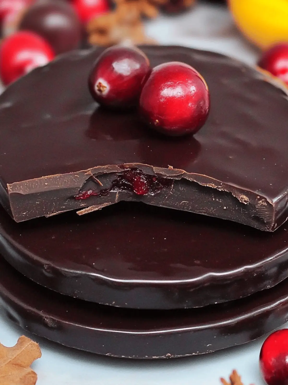 Chocolate Covered Cranberry Sauce