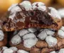 Delicious Chocolate Crinkle Blossom Cookies You’ll Adore