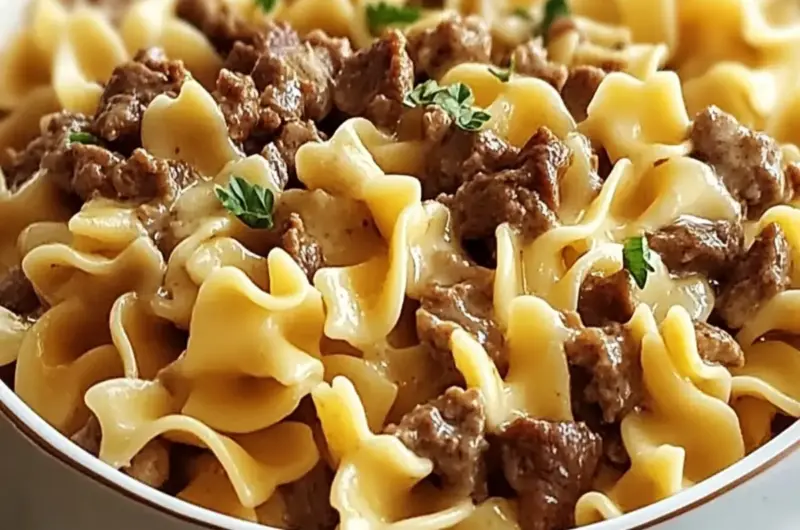 Sour Cream Beef Noodle