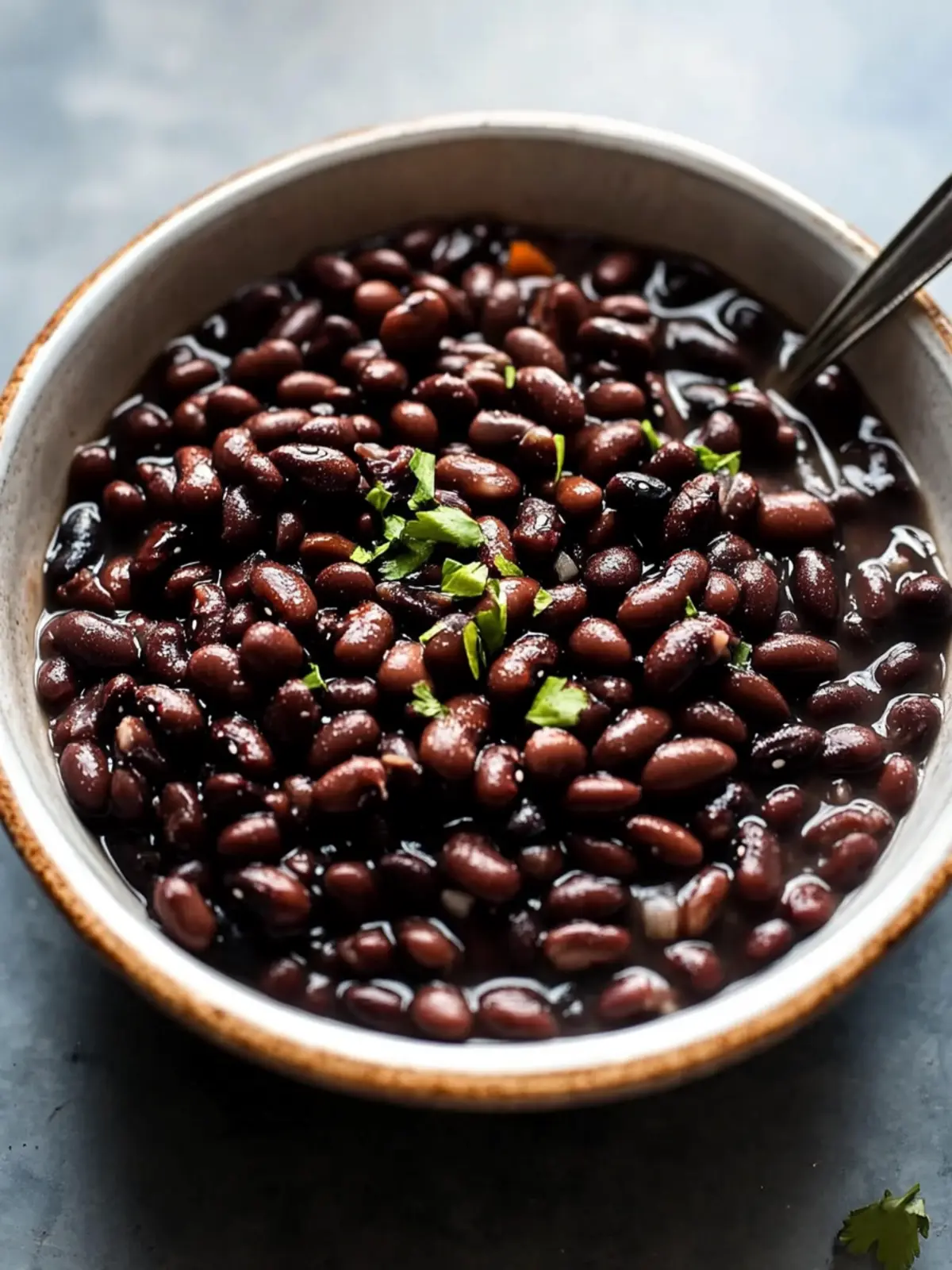 Savory Slow Cooker Black Beans: Perfect for Busy Chefs! 5 Slow Cooker Black Beans