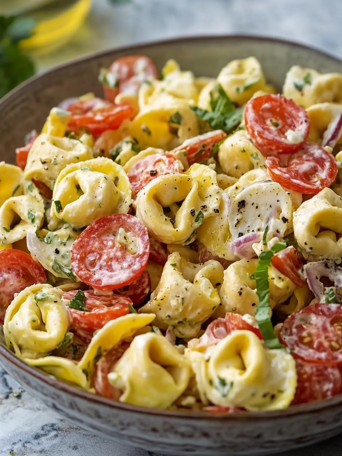 Italian Grinder Tortellini Salad: Your New Favorite Feast 2 Italian Grinder Tortellini Salad